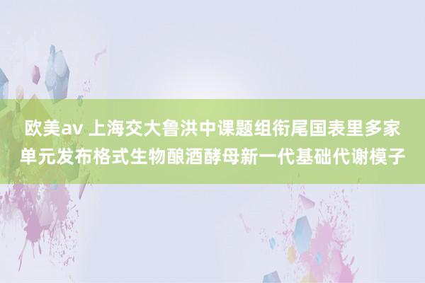 欧美av 上海交大鲁洪中课题组衔尾国表里多家单元发布格式生物酿酒酵母新一代基础代谢模子