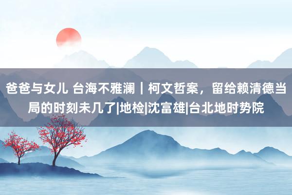 爸爸与女儿 台海不雅澜｜柯文哲案，留给赖清德当局的时刻未几了|地检|沈富雄|台北地时势院