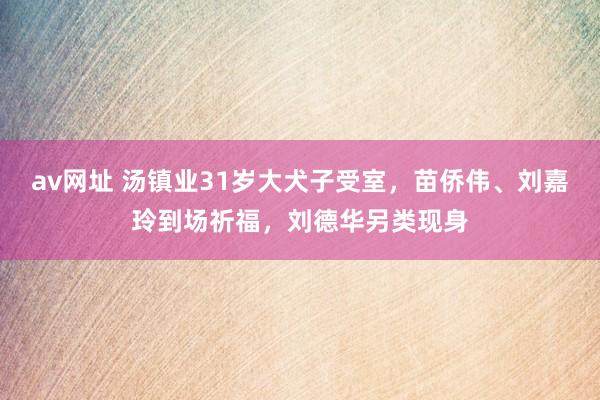 av网址 汤镇业31岁大犬子受室，苗侨伟、刘嘉玲到场祈福，刘德华另类现身