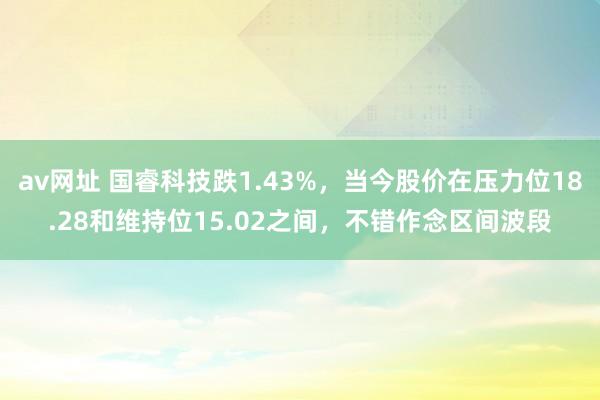 av网址 国睿科技跌1.43%，当今股价在压力位18.28和维持位15.02之间，不错作念区间波段