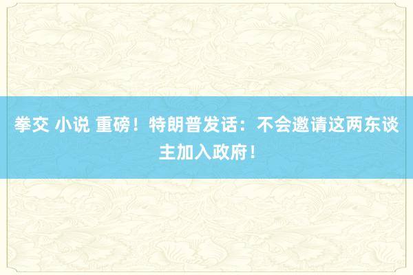 拳交 小说 重磅！特朗普发话：不会邀请这两东谈主加入政府！