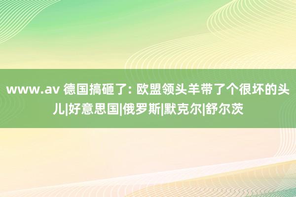 www.av 德国搞砸了: 欧盟领头羊带了个很坏的头儿|好意思国|俄罗斯|默克尔|舒尔茨