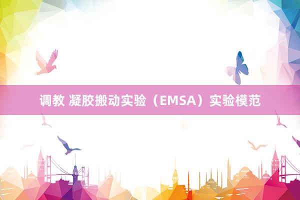 调教 凝胶搬动实验（EMSA）实验模范