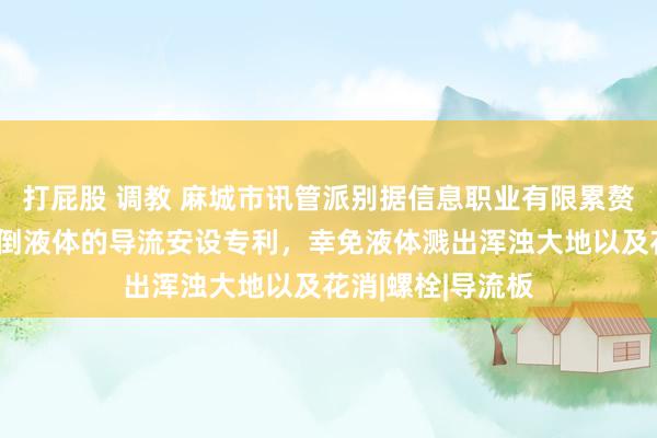 打屁股 调教 麻城市讯管派别据信息职业有限累赘公司获取便于倾倒液体的导流安设专利，幸免液体溅出浑浊大地以及花消|螺栓|导流板